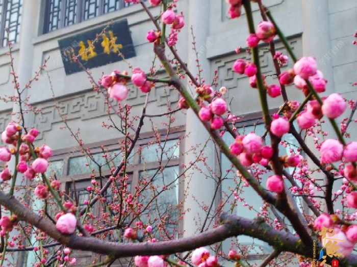 不同的作钓水域，是如何来前期找底与调钓，顺便给大家欣赏我拍的片片