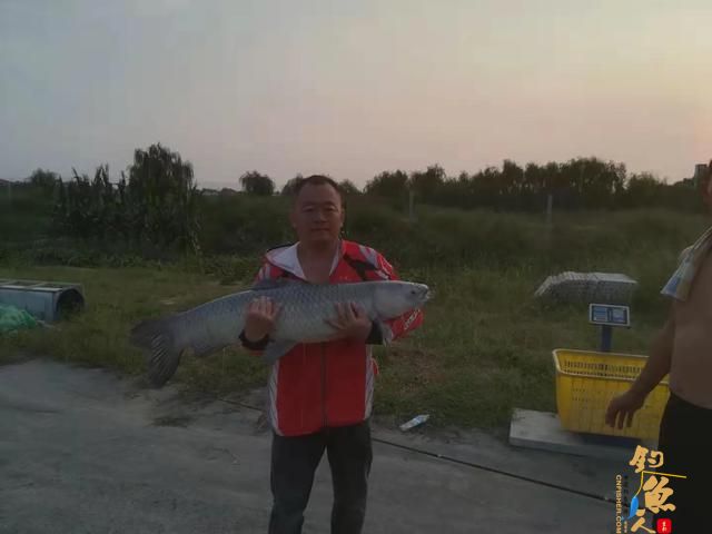 钓鱼调漂，如何快速找底？规避误区，才能由繁至简