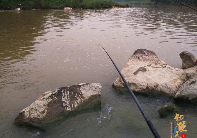 垂钓过程中，出现这些情况，说明找底失败