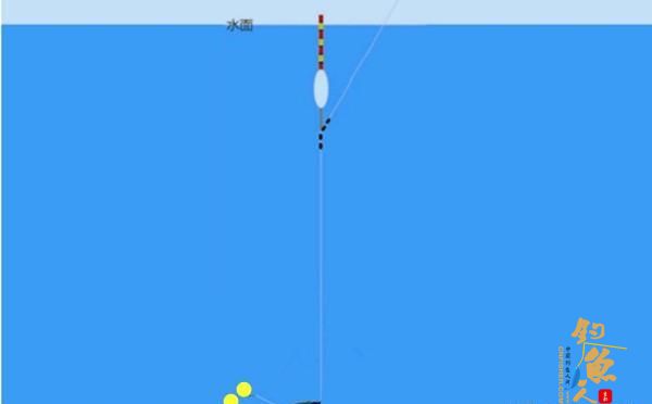 台钓鲤鱼调漂技巧，说的都是关键