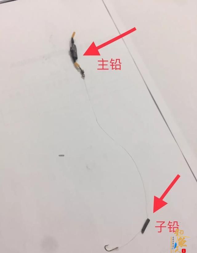 两大钓法的精准调漂法，简单一看就会