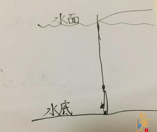 两大钓法的精准调漂法，简单一看就会