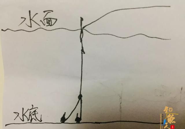 两大钓法的精准调漂法，简单一看就会