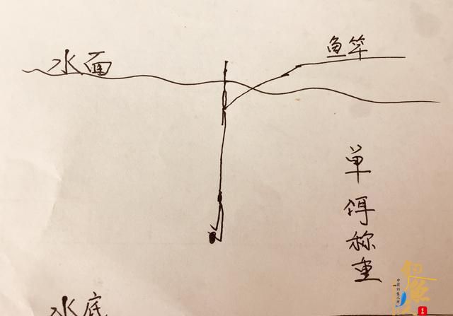 两大钓法的精准调漂法，简单一看就会