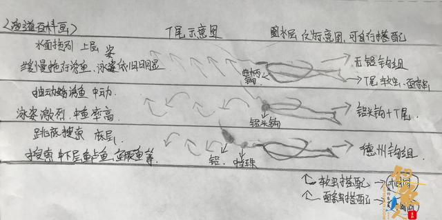 新手路亚应如何选择拟饵？以泳层选择，让假饵活起来