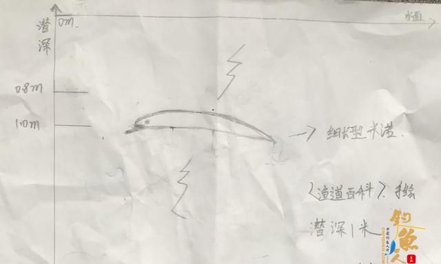 新手路亚应如何选择拟饵？以泳层选择，让假饵活起来