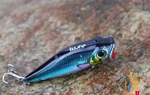 人与鱼眼中路亚拟饵颜色的区别，如何选择拟饵颜色
