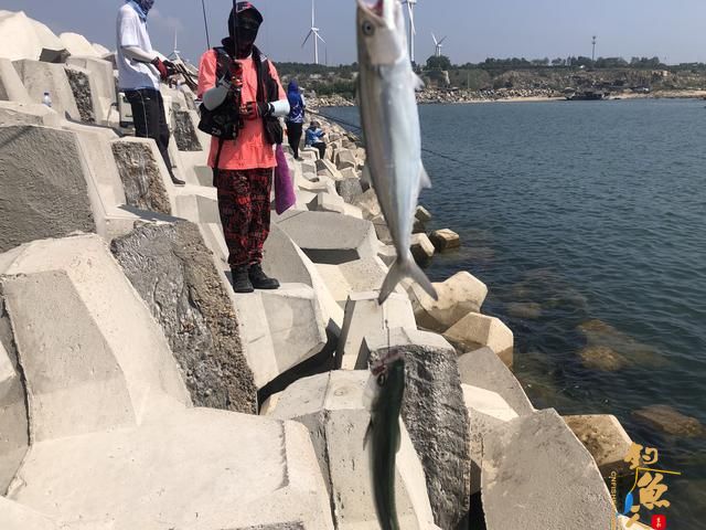 矶钓最主要的就是这几个动作的连贯配合,我先从入门讲起