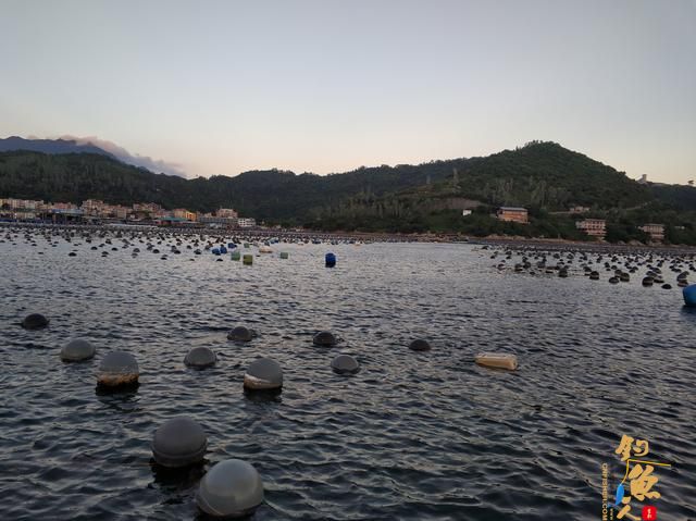 鱼排作钓怎样才能不打龟?真有所谓的秘位吗