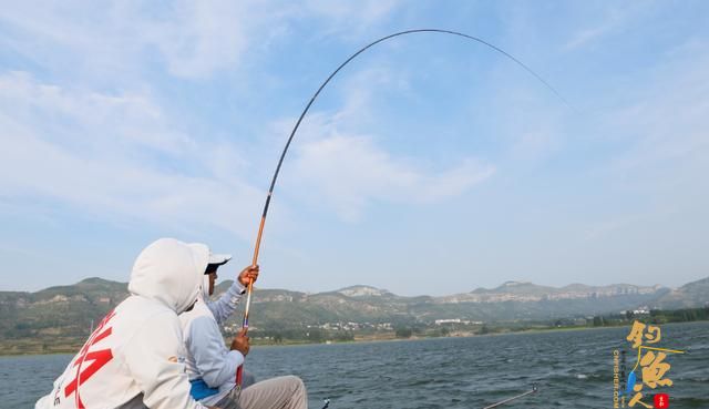 全泳层引钓法,学会了它,真的可以一技钓天下