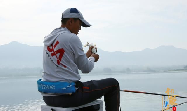 全泳层引钓法,学会了它,真的可以一技钓天下