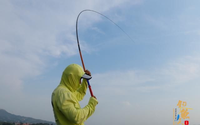 全泳层引钓法,学会了它,真的可以一技钓天下