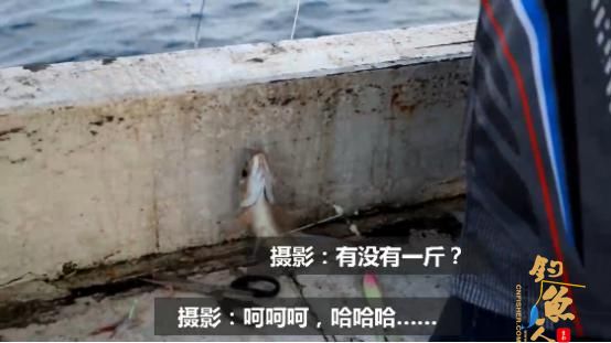 有大有小才是海钓常态,摄影小哥的日常