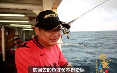 为什么越来越多的人选择深海鱼