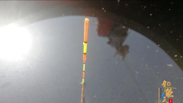 加粗目浮漂为什么不能调平水钓几目 图