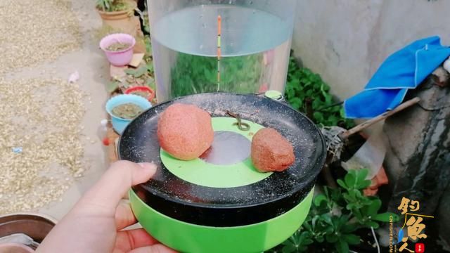 加粗目浮漂为什么不能调平水钓几目 图