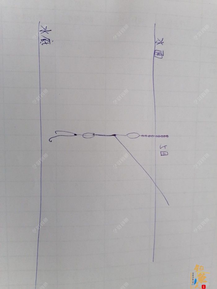 调漂技巧分享，高手给大家讲解如何半水调漂