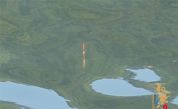 台钓调漂的最顿和最灵分别是哪种状态？