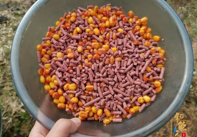 想钓大鱼先找底,一张图告诉你找底的重要性