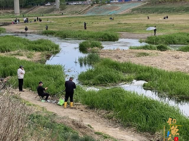 野钓如何找底调漂？风大可以钓跑铅