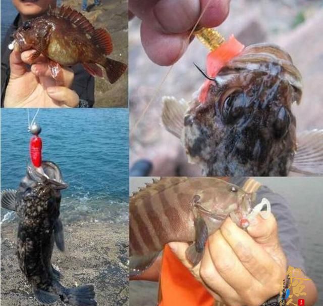 拖曳钓你会吗？野钓客教你！