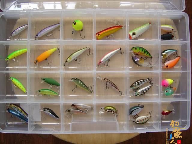 拟饵：主要分软饵、硬饵两大类。初学者建议使用软虫开始，硬饵从米诺开始练习