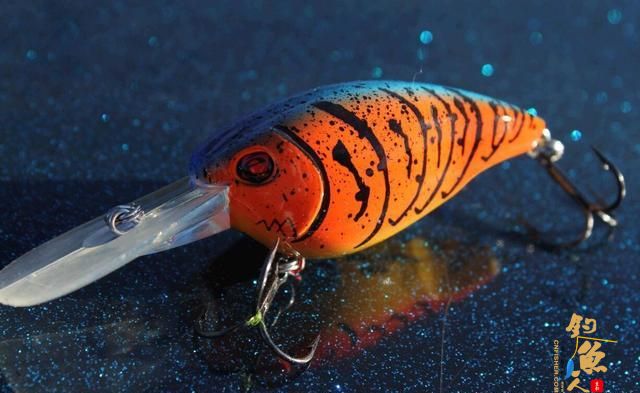 路亚假饵分类及使用对象，跟着我看一下