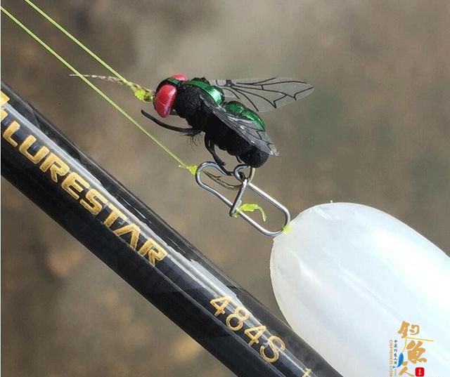 路亚假饵分类及使用对象，跟着我看一下