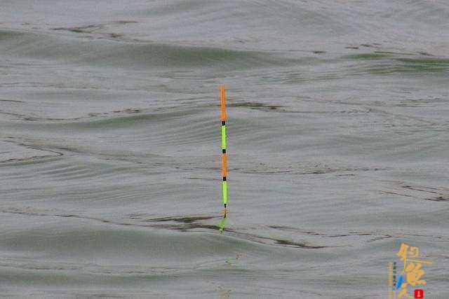 半水调漂，能抓住鱼口才是不可思议