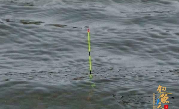 半水调漂，能抓住鱼口才是不可思议