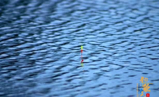 半水调漂，能抓住鱼口才是不可思议