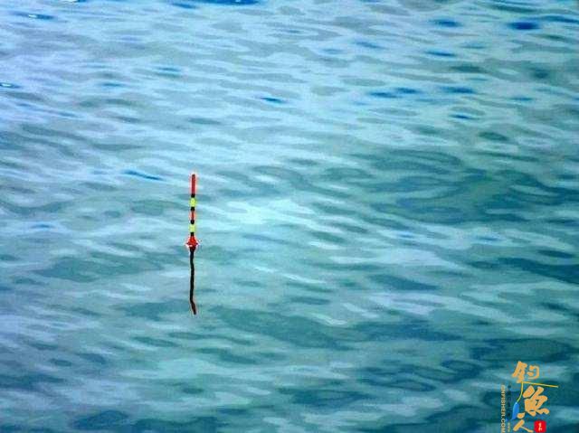 找底的坏习惯导致的漂讯不精准，钓目总在变