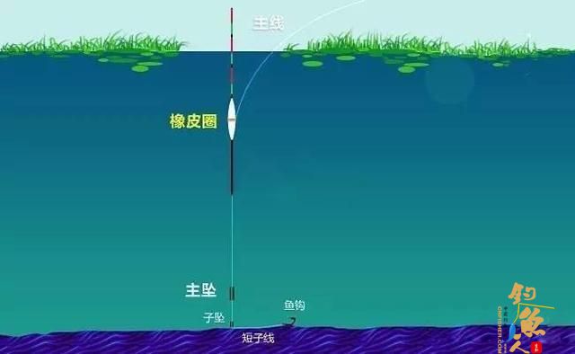 找底的坏习惯导致的漂讯不精准，钓目总在变