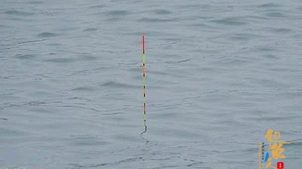 找底的坏习惯导致的漂讯不精准，钓目总在变