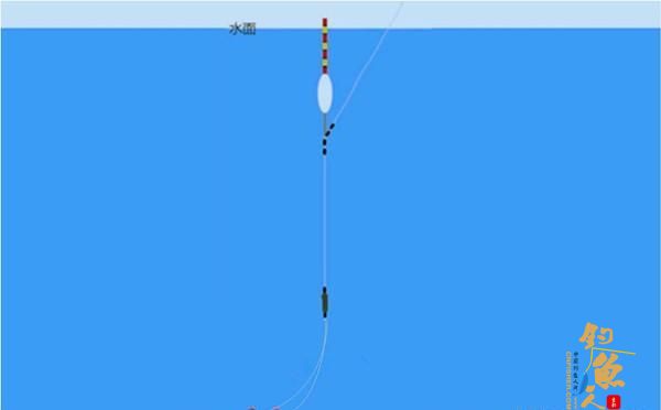 夏季在水库鲤鱼应该怎么钓