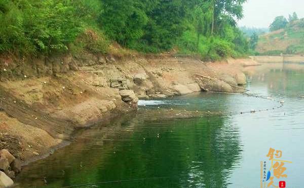 三伏天钓鱼，钓位的选择方法