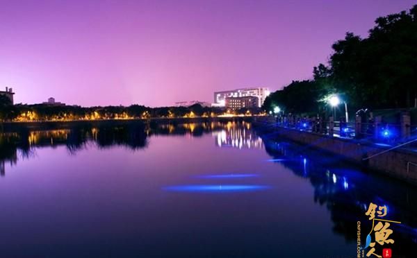 三伏天钓鱼，钓位的选择方法