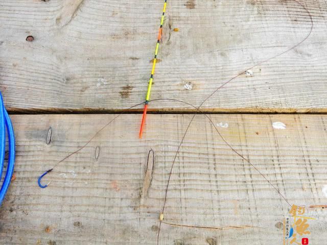 三伏天钓鱼，钓位的选择方法