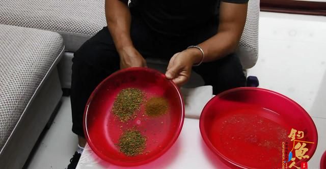 水库钓鲤鱼、草鱼的好用商品饵配方
