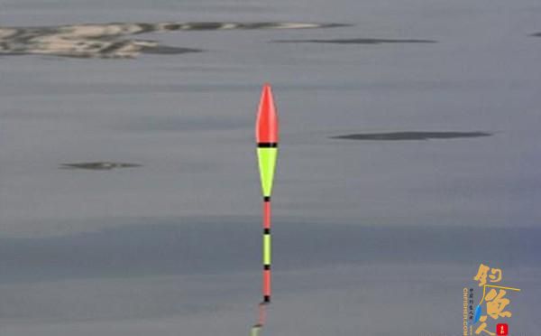 夏季水库钓鲢鳙，还是这招实用