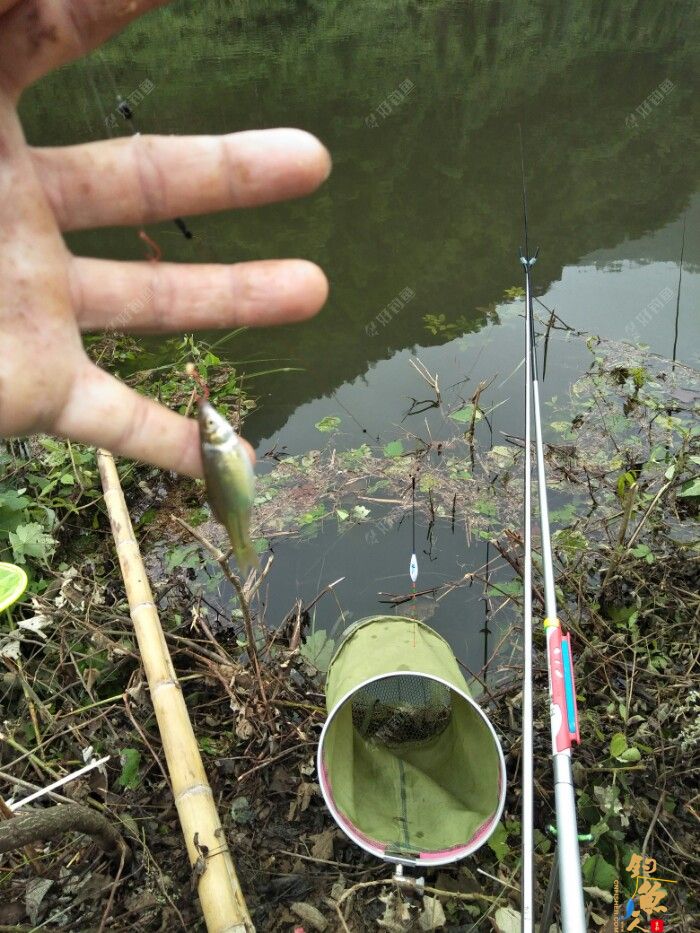 第十一场转移战场，兄弟约钓水库大坝