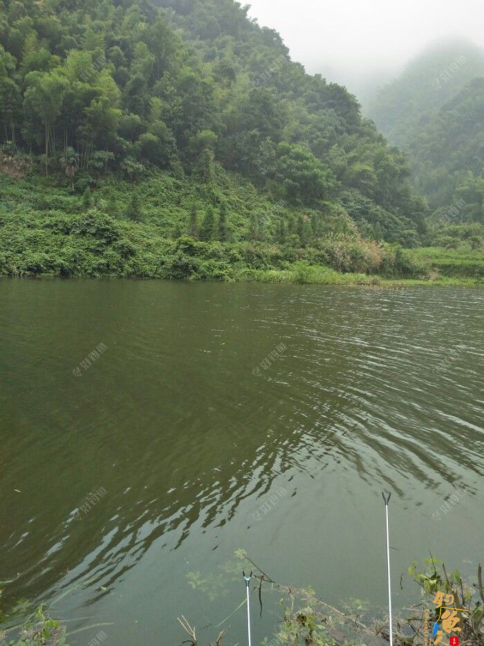 第十一场转移战场，兄弟约钓水库大坝