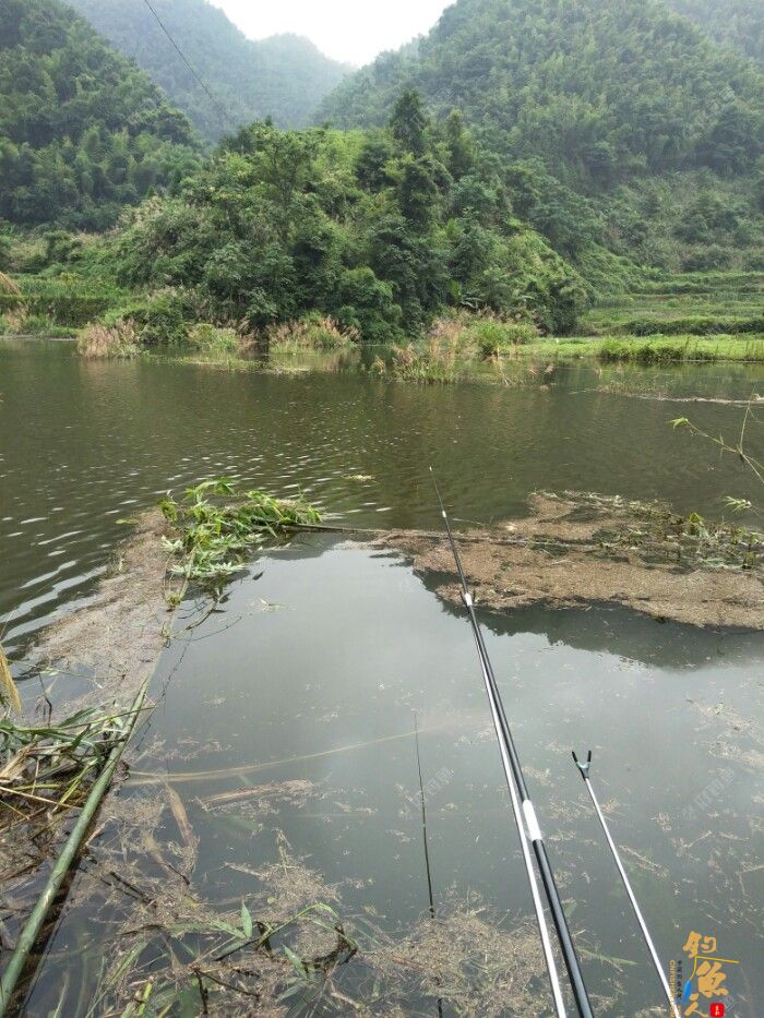 第十一场转移战场，兄弟约钓水库大坝