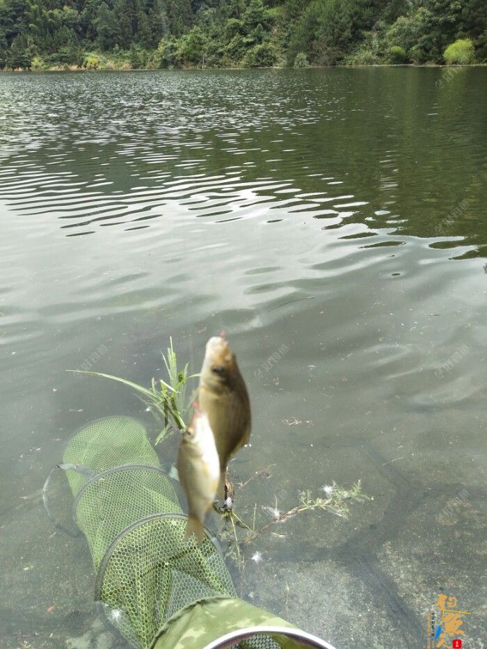 第十一场转移战场，兄弟约钓水库大坝