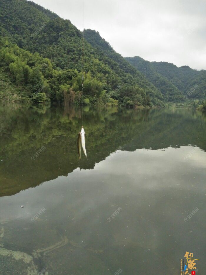 第十一场转移战场，兄弟约钓水库大坝