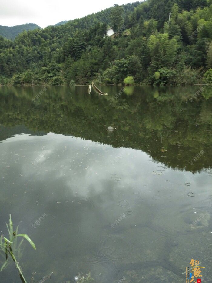 第十一场转移战场，兄弟约钓水库大坝