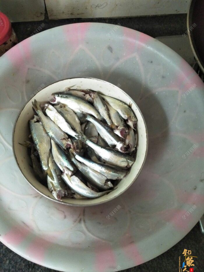 第十一场转移战场，兄弟约钓水库大坝