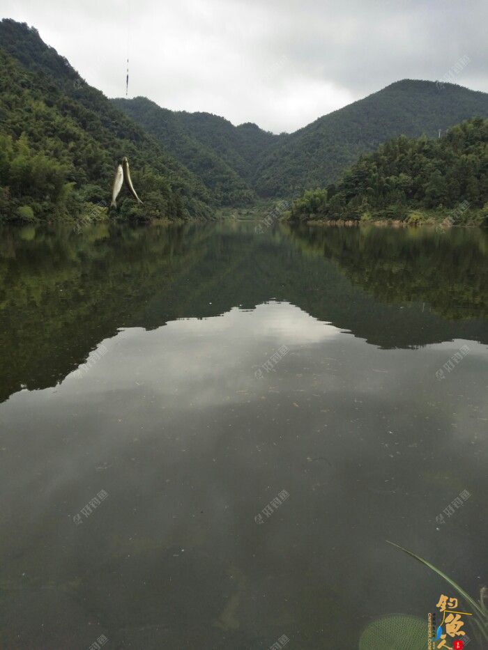 第十一场转移战场，兄弟约钓水库大坝