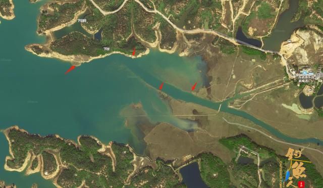 夏天水库野钓的这三个黄金位，爆护渔获