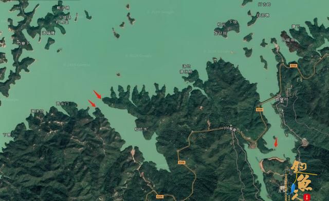夏天水库野钓的这三个黄金位，爆护渔获